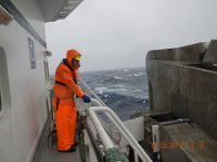 kolmule 2012 161 : kolmule 2012